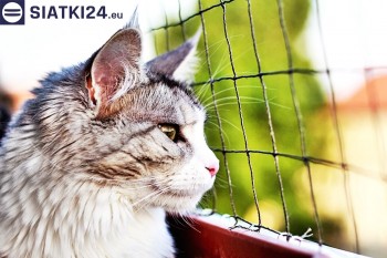Siatki Puck - Siatka na balkony dla kota i zabezpieczenie dzieci dla terenów Miasta Puck