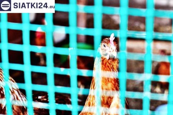 Siatki Puck - Siatka na woliery - zabezpieczenia ptaków w hodowli dla terenów Miasta Puck